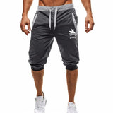 M-3XL Summer 2019 Man's Shorts Casual Shorts Fashion Dragon Ball Goku print Sweatpants Fitness Short Jogger male clothing