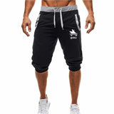 M-3XL Summer 2019 Man's Shorts Casual Shorts Fashion Dragon Ball Goku print Sweatpants Fitness Short Jogger male clothing