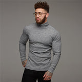 New Fashion Winter Sweater Men Warm Turtleneck Mens Sweaters Slim Fit Pullover Men Classic Sweter Men Knitwear Pull Homme